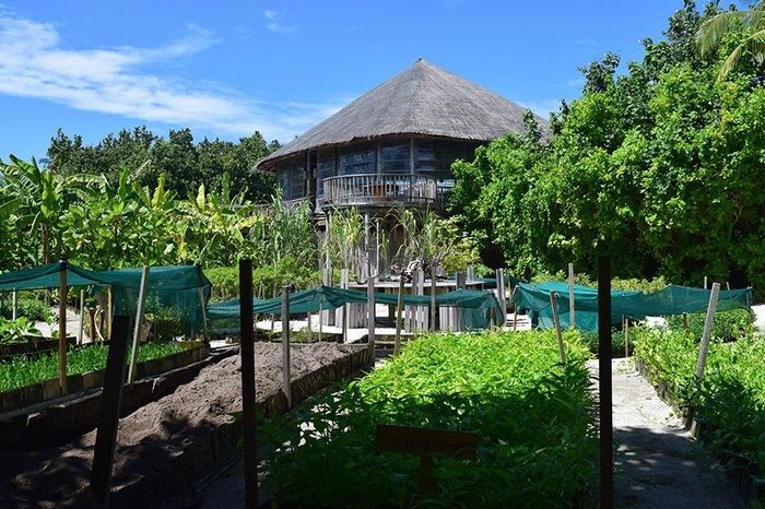 Six Senses Laamu