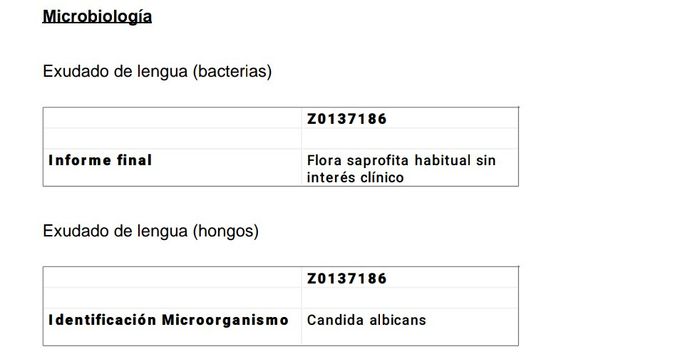 Futuras mamás marzo 2019 1