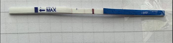 Inseminación artificial ¿cómo os fué? - 1