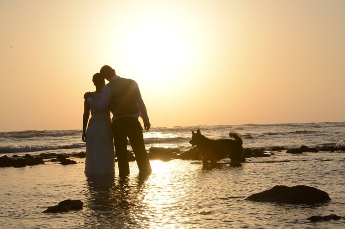 love wedding dog beach