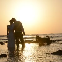 love wedding dog beach