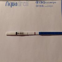 nuevo Buscadoras Julio 2019 - 1
