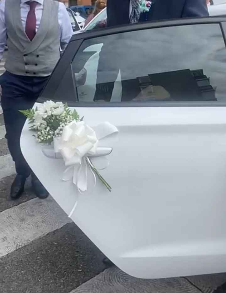 Lazos del coche - 2