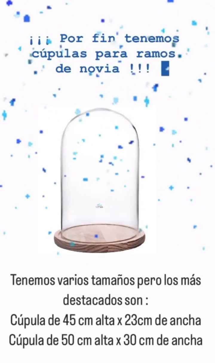 Cupula grande para ramo - 1