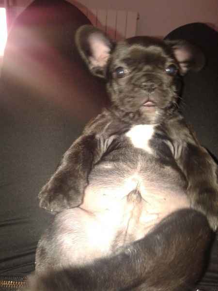 Con mi bebe de 4 patas  - 2