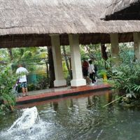 Nuestro viaje de novios - 4