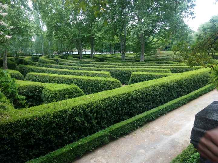 Preboda en parque europa - 1