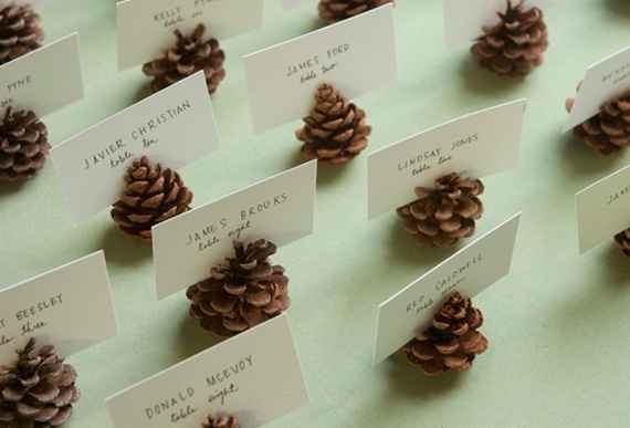 decoracion con piñas!!!