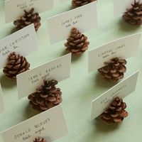 decoracion con piñas!!!