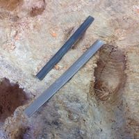 Alianzas hechas por nosotros - 1