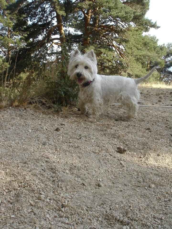 De paseo