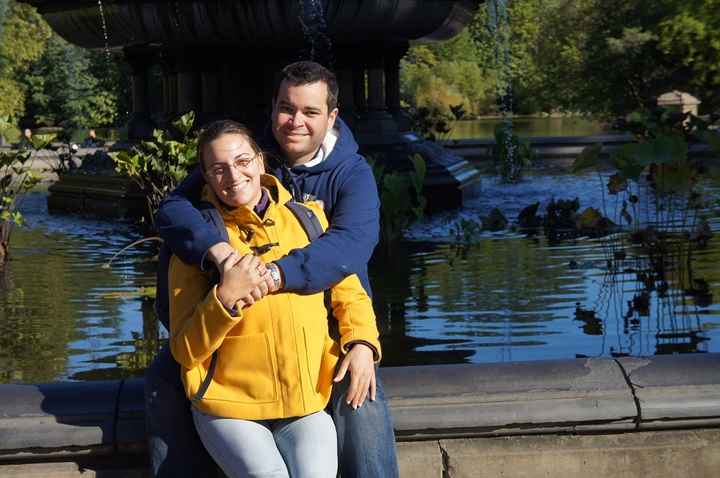 Fuente angel caido central park