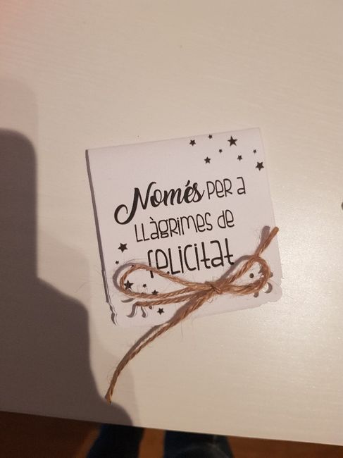 Novios que nos casamos el 15 de Junio de 2019 en Girona - 4