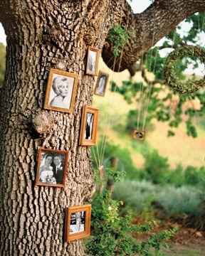 Necesito ideas para decorar el jardin del restaurante!!! - 3