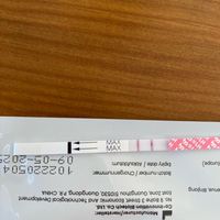 buscadoras abril 2023 - 1