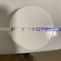 Buscadoras Noviembre 2023 - 1