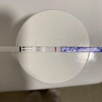 Buscadoras Noviembre 2023 - 1