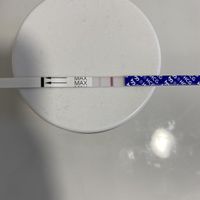 Buscadoras Noviembre 2023 - 2