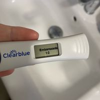 Buscadoras Noviembre 2023 - 1