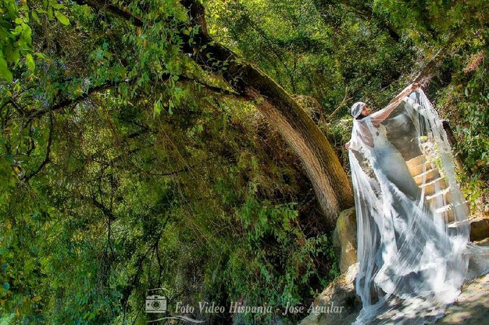  De qué marca es vuestro vestido de novia? - 1