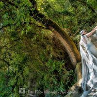  De qué marca es vuestro vestido de novia? - 1