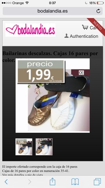 Zapatillas de cortesia - 1