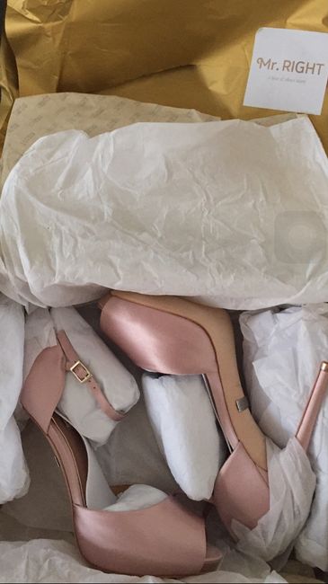 Ya fin me decidí y al fin ya tengo mis zapatos badgley mischka - 1