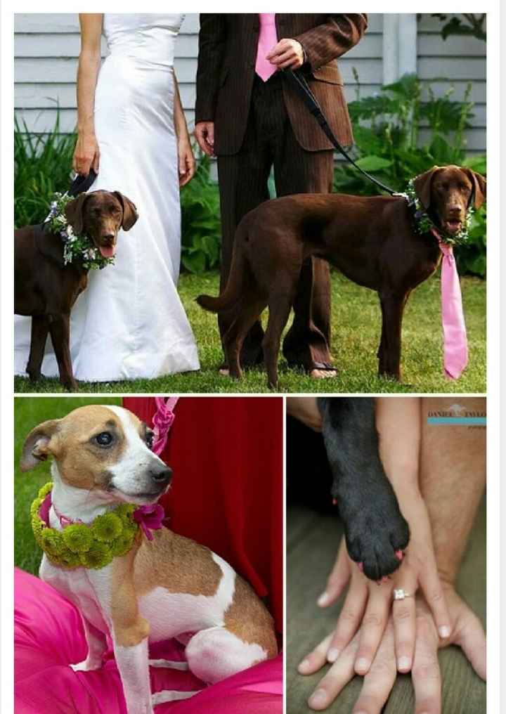 Invitados peludos!!! - 7