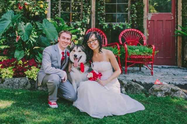 6. Wedding dog