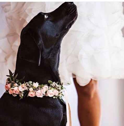 Collar flores