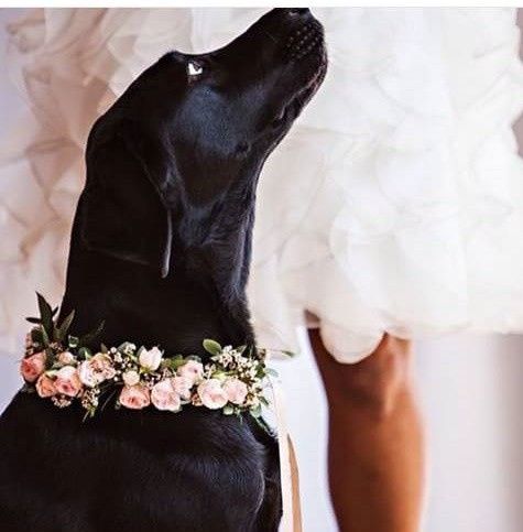 Collar flores