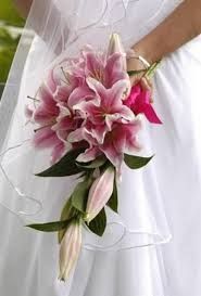 Sos ... ramo fucsia!! :) - 1