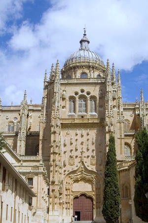 Catedral antigua de salamanca
