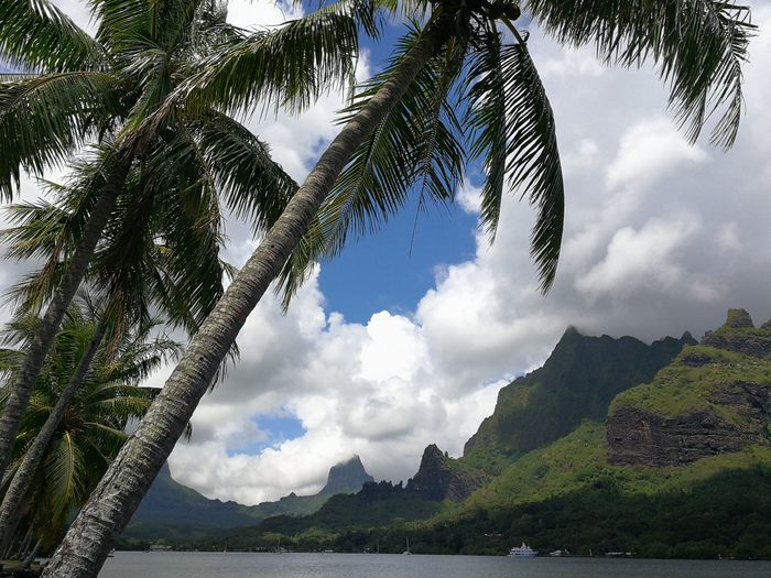 Ayuda Bora Bora 1