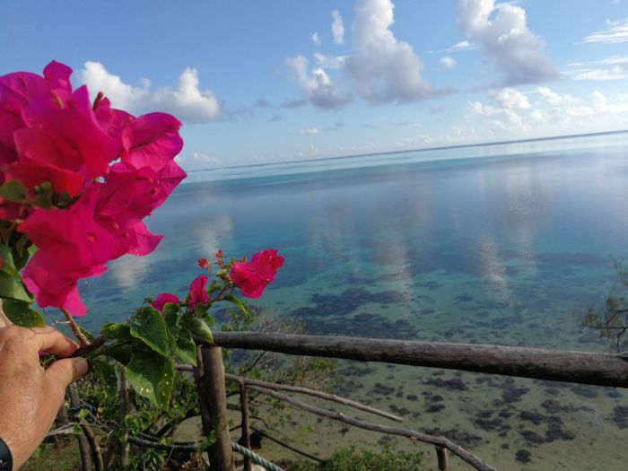 Duda Polinesa!!!! Tahaa o Huahine??? 7