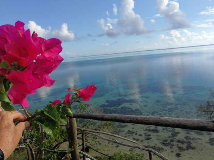 Duda Polinesa!!!! Tahaa o Huahine??? - 3