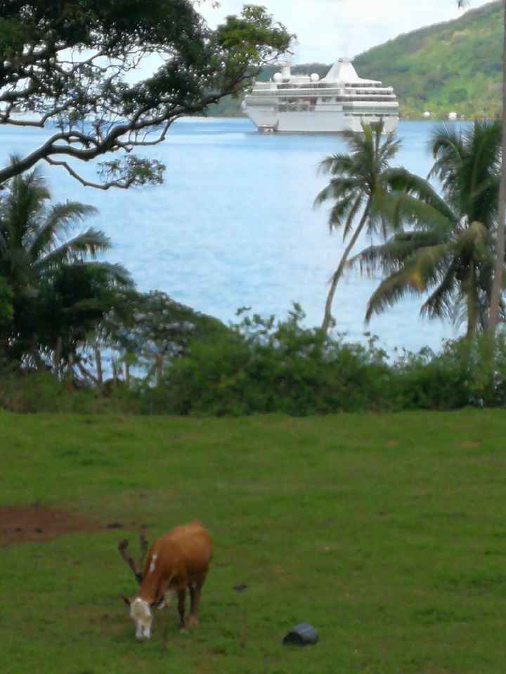 Duda Polinesa!!!! Tahaa o Huahine??? - 5