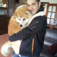 momo arriba