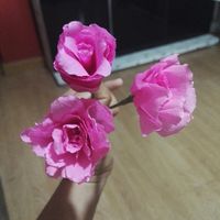 Ramo diy - 1