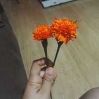 Ramo diy - 1