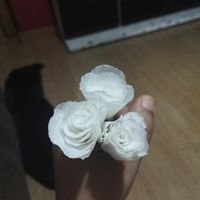 Ramo diy - 1