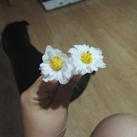 Ramo diy - 1