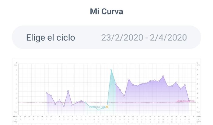 buscadoras abril 1
