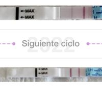 Buscadoras mayo 2022 - 1
