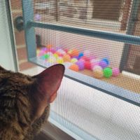 Ya me la están liando... 😅 - 2