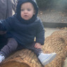 Nerea