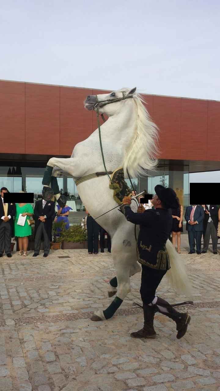 Caballo blanco