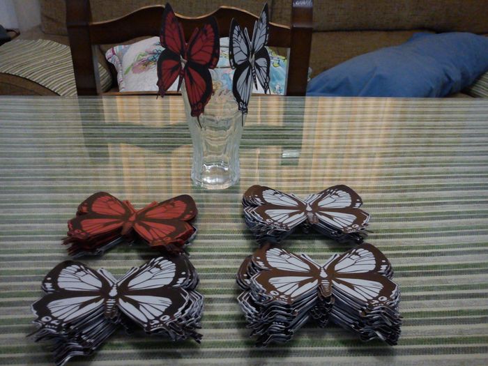 MIS MARIPOSAS 1/2