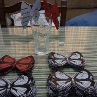 MIS MARIPOSAS 2/2