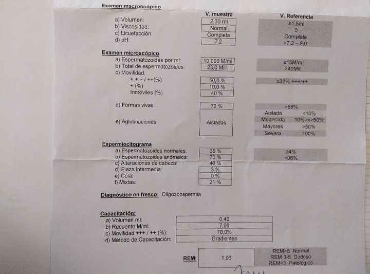 Buscadoras después de uno o varios abortos iii - 1